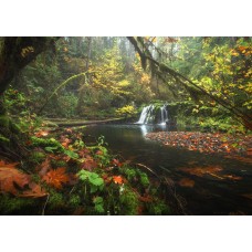 Vancouver Island